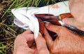 How to Despatch & Bleed Your Catch