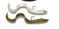 Mr G Eel