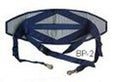 Kidney Harness GWBP2